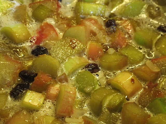 Rhubarb, onions and raisins canning, rhubarb, prudent living