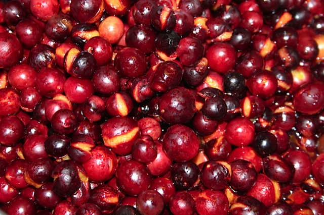 Plums with split skins. Beach plums, jelly