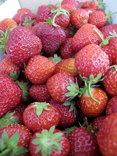 Strawberries! fruit, berries, pruent living