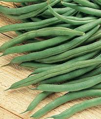 Provider Bush Green Beans