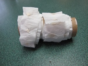 seeds, vegetable gardening, carrots