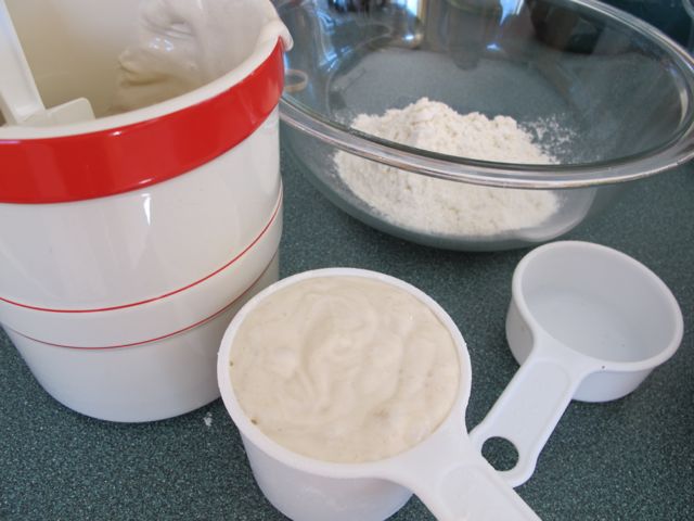 Sourdough Starter for biscuits.