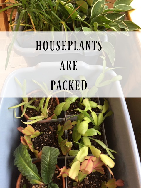 houseplants are packed
