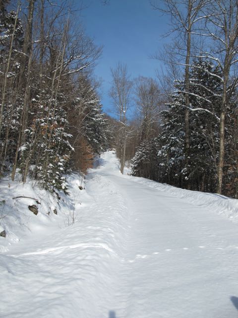 snowshoeing