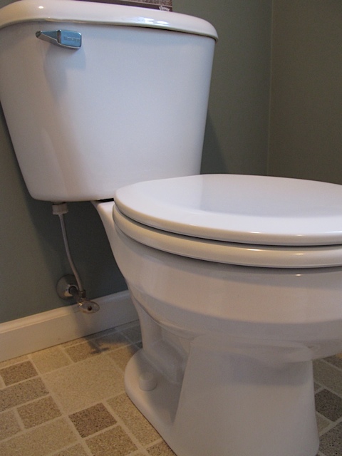 Clean toilet, inside and out! toilet cleaner, prudent living