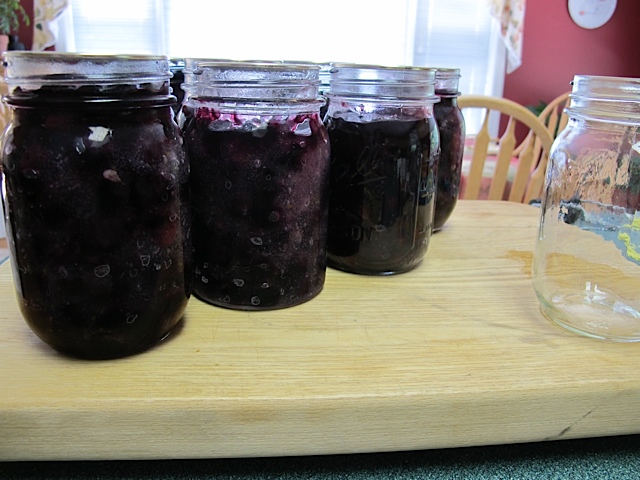 berries, prudent pantry, prudent living