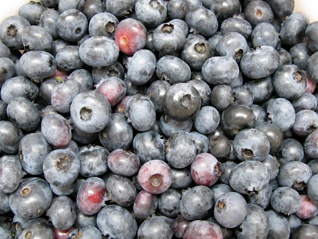Blueberries fruit, berries