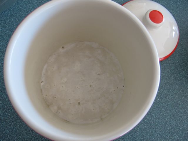 Sourdough Starter