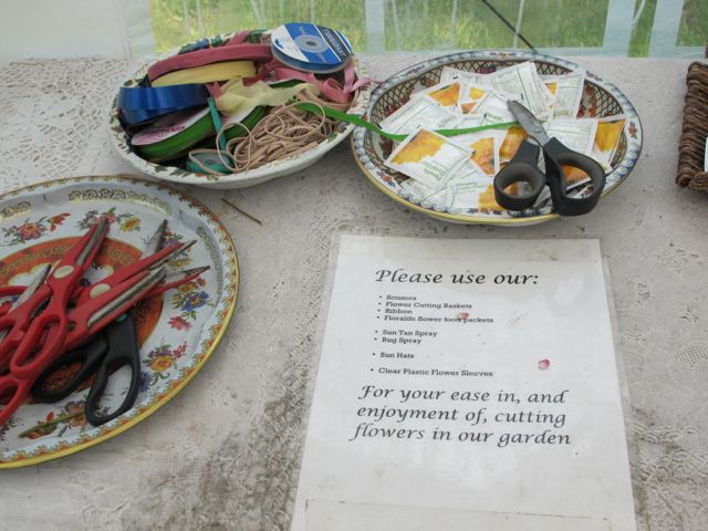 Everything you need to cut flowers.