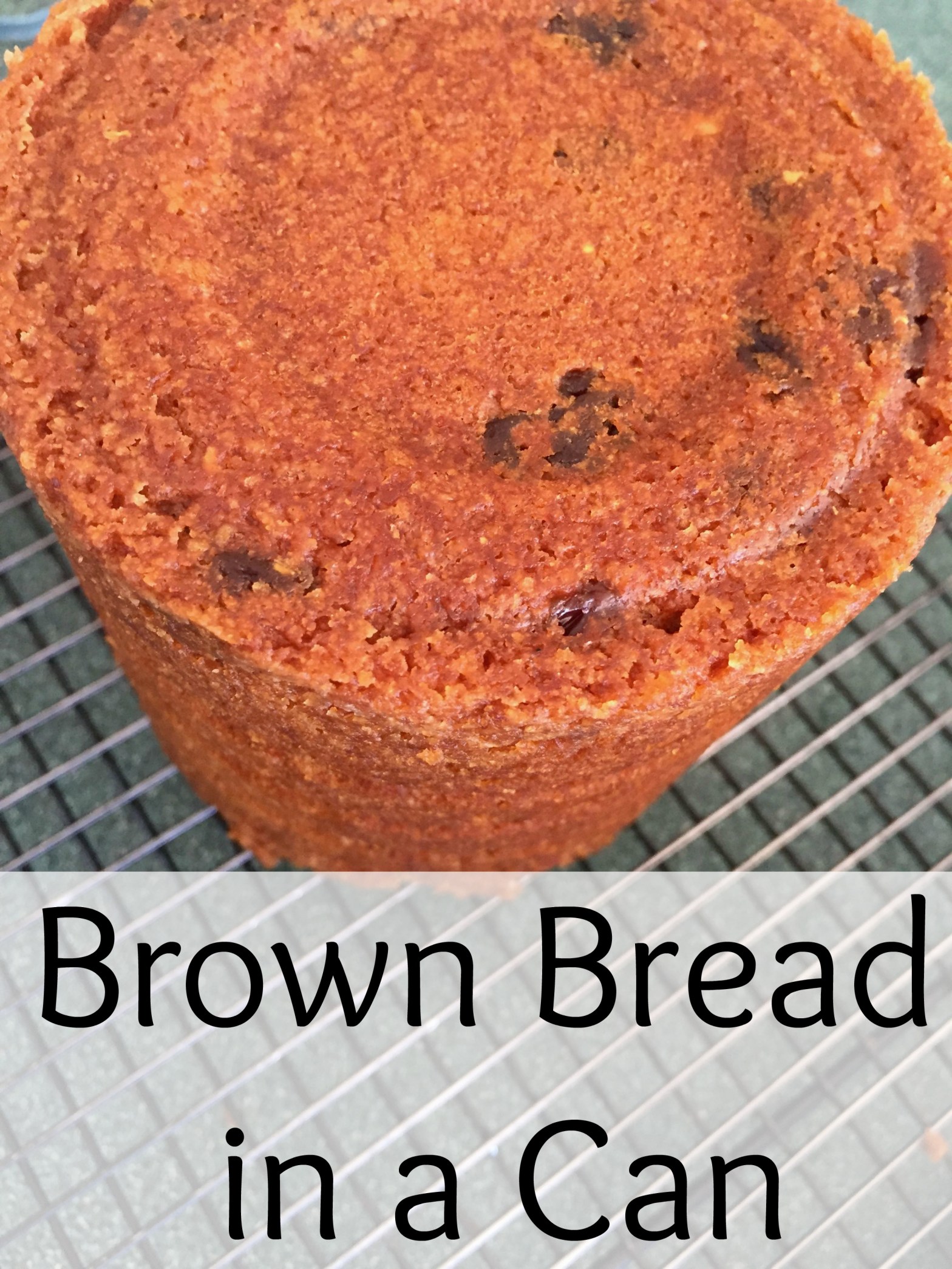brown bread in a can
