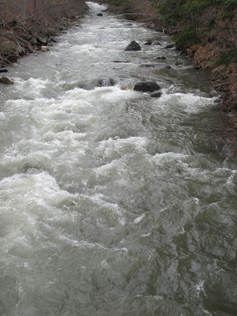 Our little stream is raging!