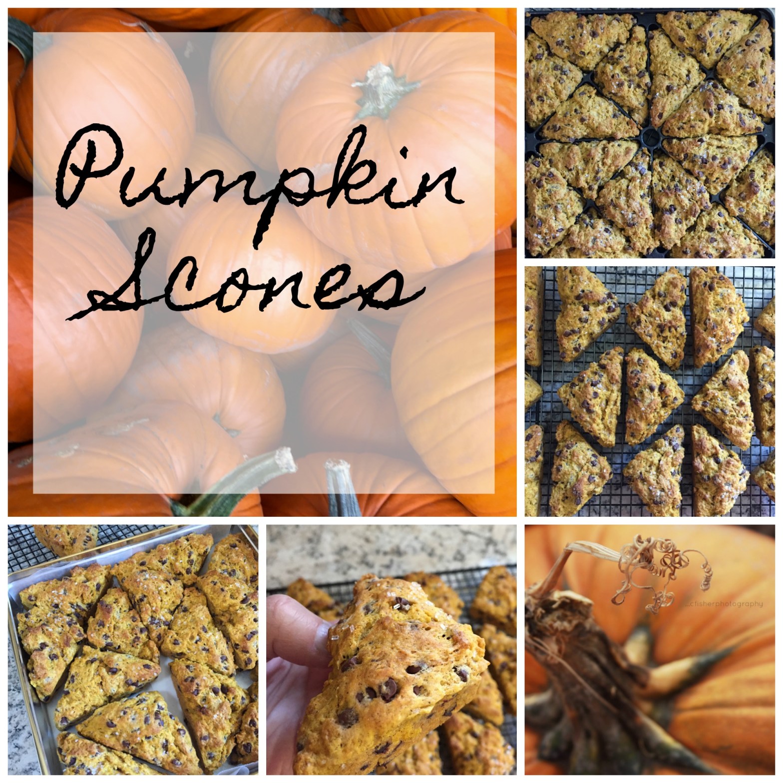 Pumpkin Scones