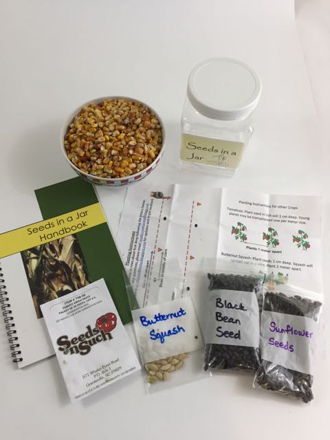 Seeds in a Jar