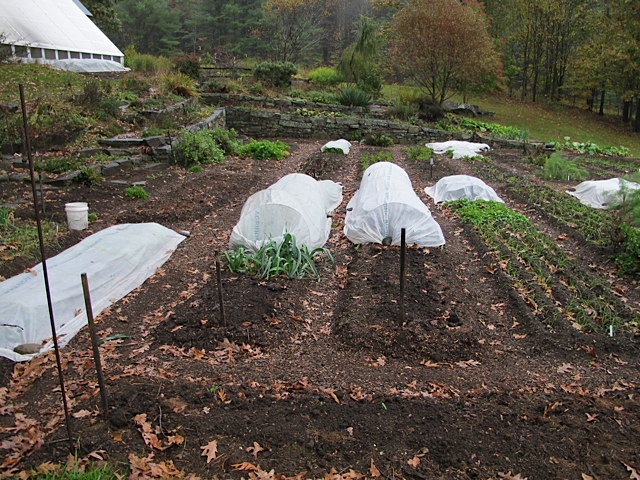 seed saving, gardening