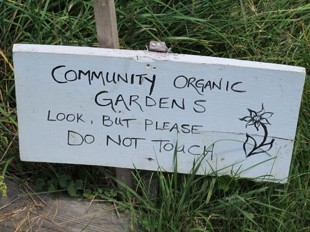 Community Garden