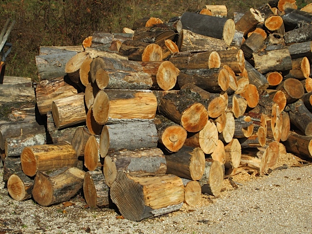 garden, prudent living