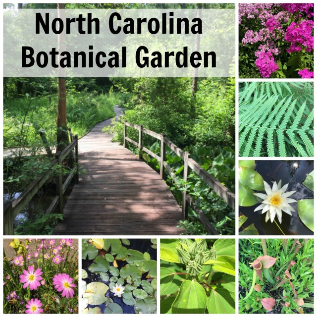 North Carolina Botanical Garden