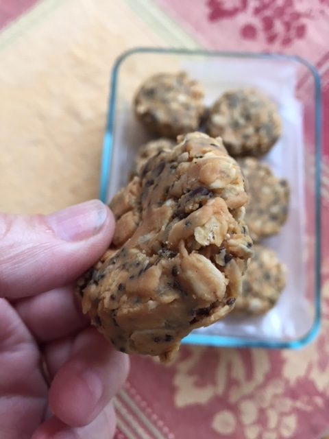 no bake breakfast cookies