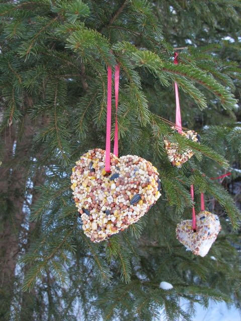 Treats for the birds