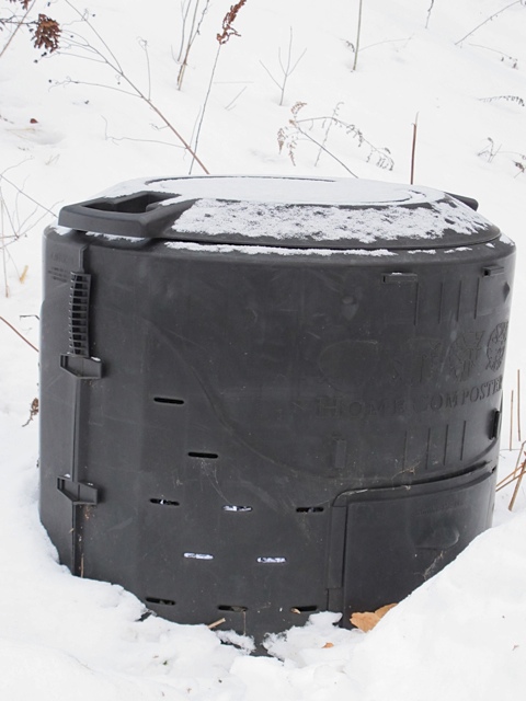 What To Do With Food Scraps?