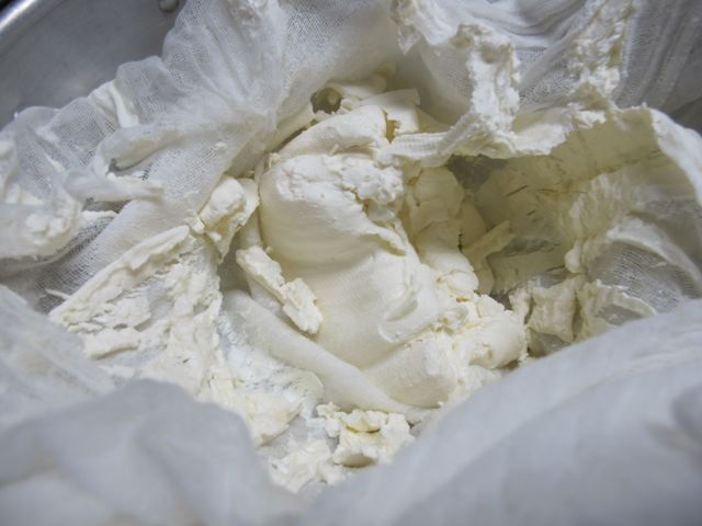 Remove cheese from the cheesecloth.