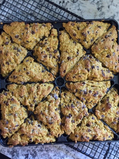 pumpkin scones