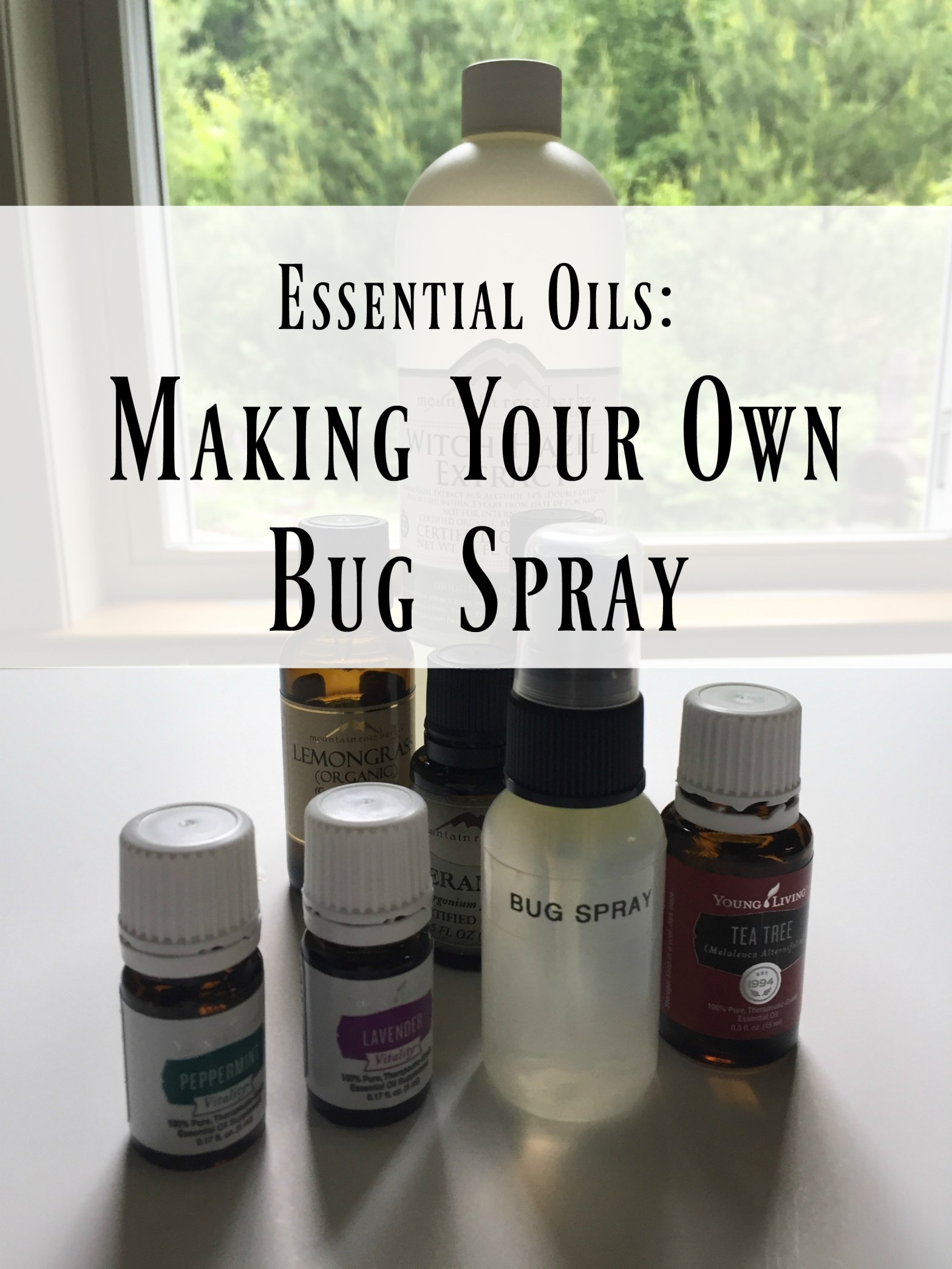 make your own bug spray