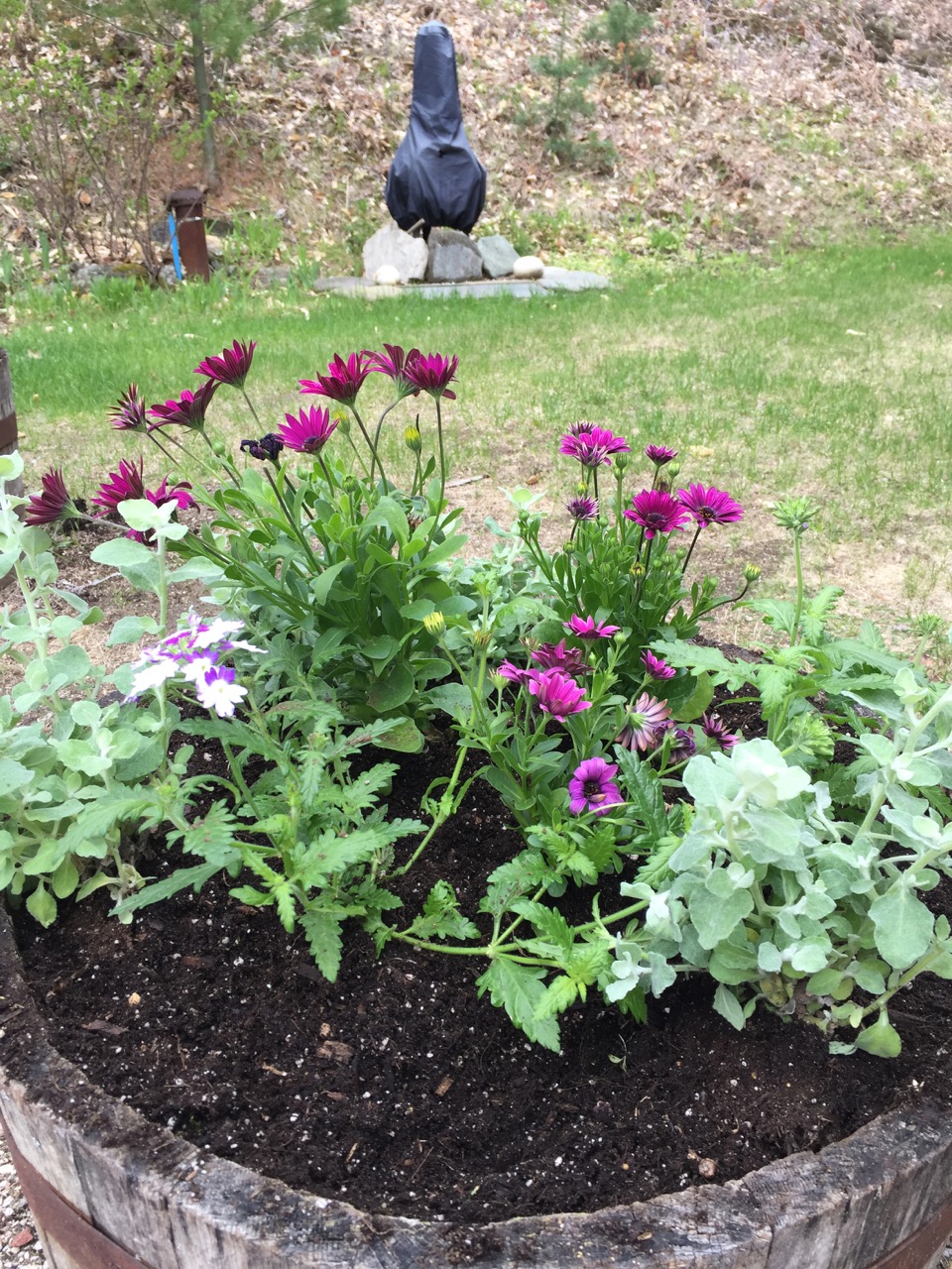 May Gardens