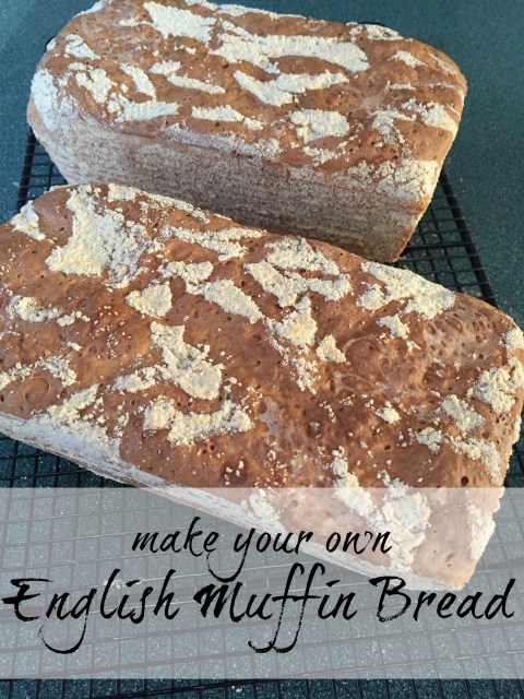 english muffin bread