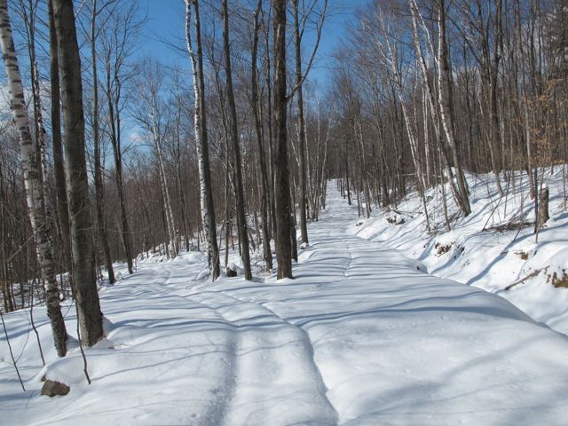 snowshoeing