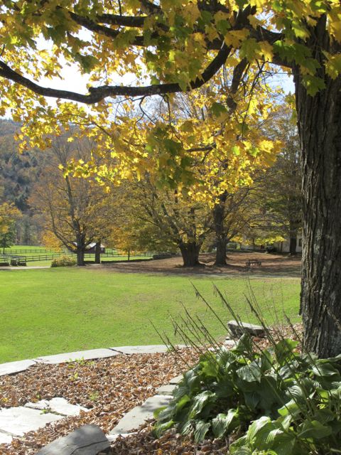 It was a beautiful fall afternoon.