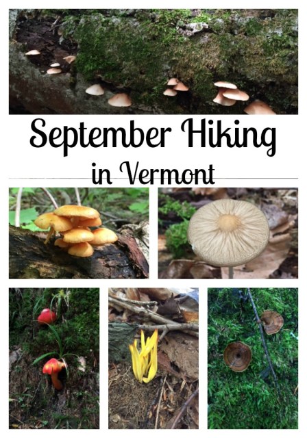 September Hiking