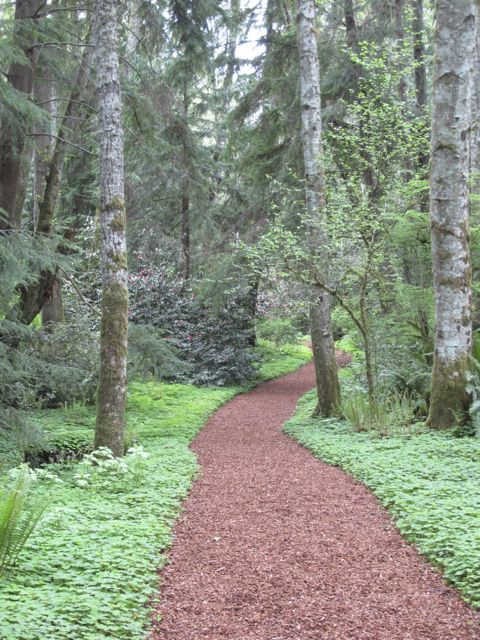 Well maintained paths make it easy for anyone to enjoy the Reserve.