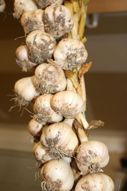 Continue braiding until you reach the desired length.