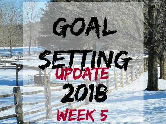 goal-setting 5