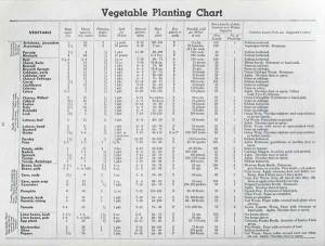 vegetable planning, chart, gardening