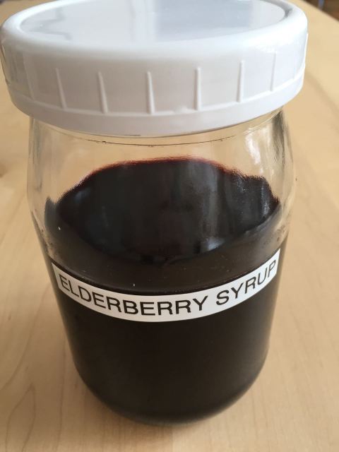 Making elderberry syrup