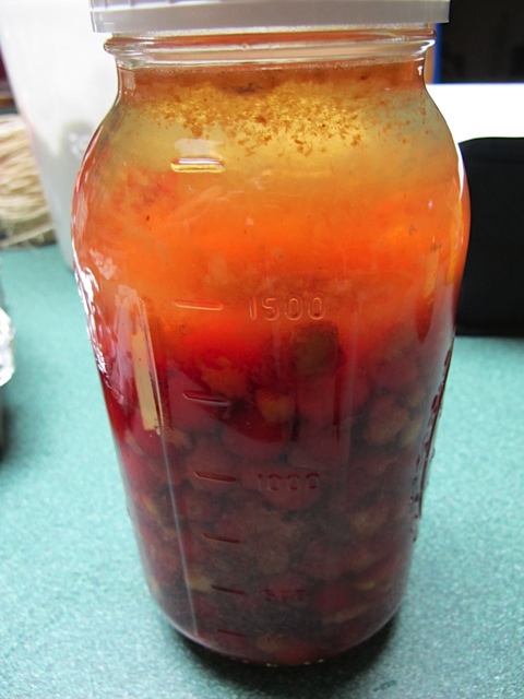 Cherries and vodka. cordial, liqueur