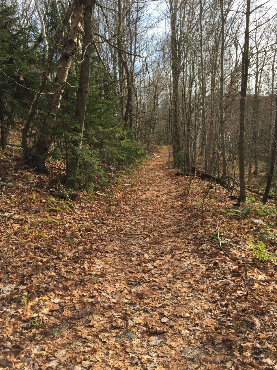 hiking during hunting season