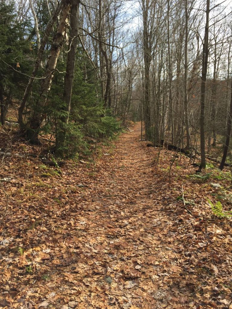 hiking during hunting season