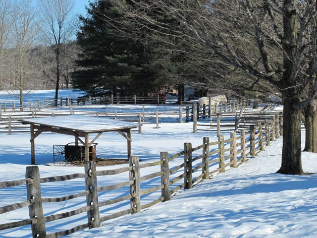 Billings Farm & Museum