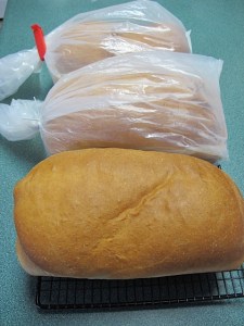 bread, whole wheat, homemade