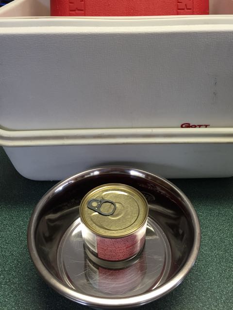 Riley's Food and Bowls