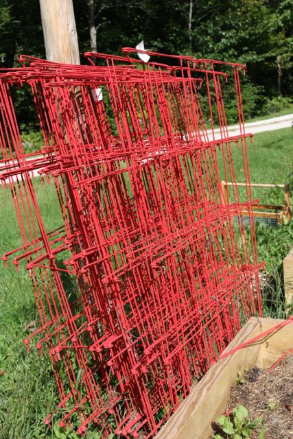 Cages to be moved to the barn.