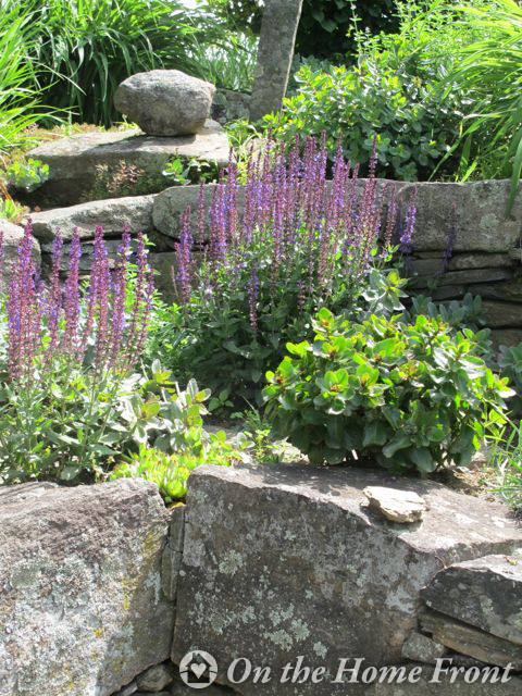 Spring is on the way!