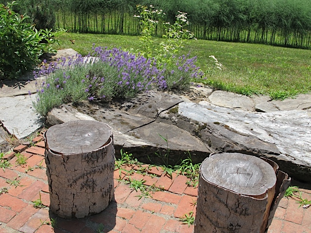 seed saving, gardening, prudent living