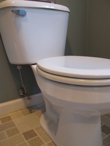 household cleansers, toilet cleaner, prudent living