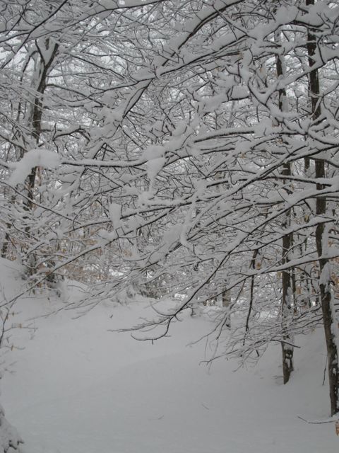 Enjoy your summer, winter will be here before you know it!