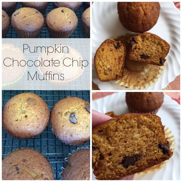 Pumpkin Chocolate Chip Muffins