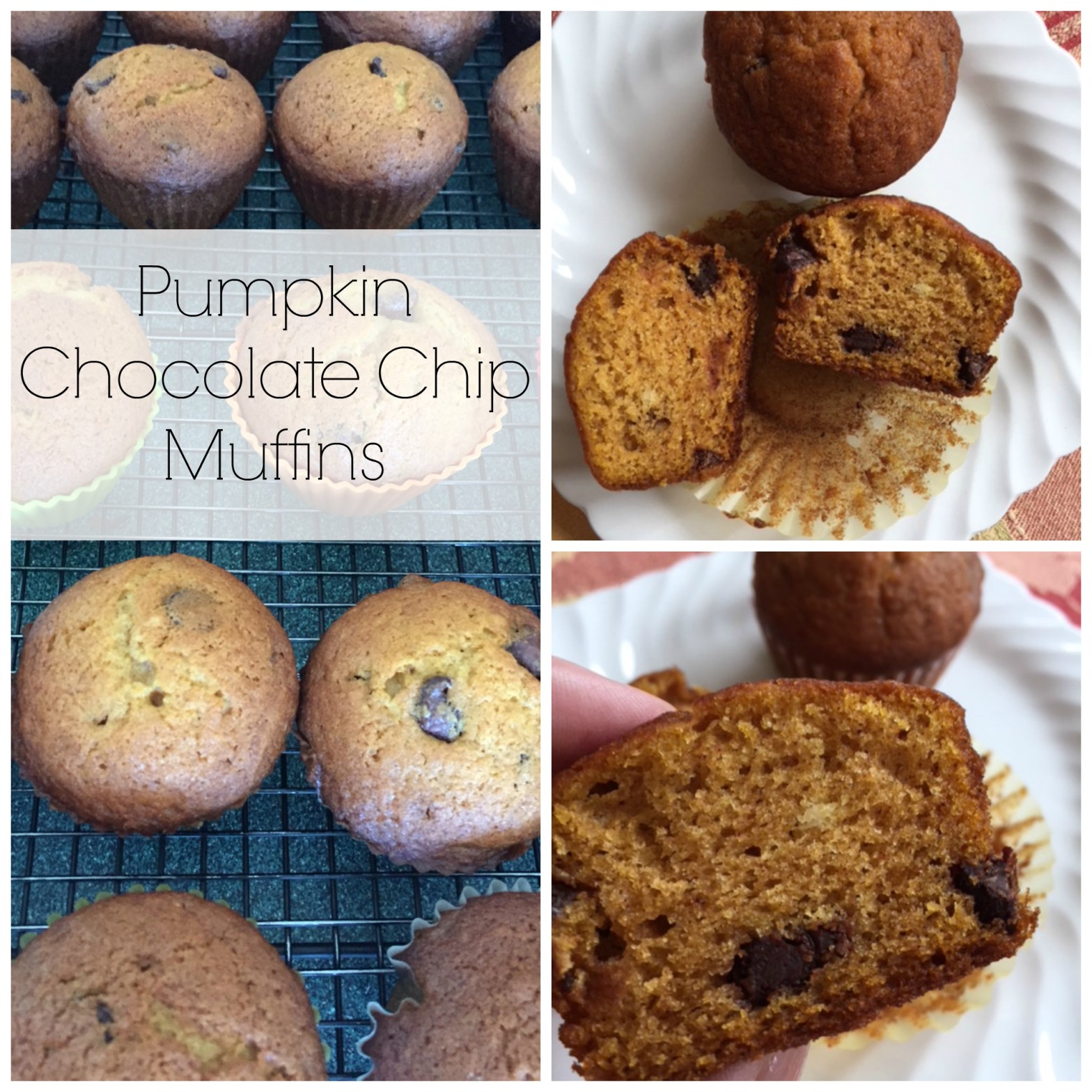 Pumpkin Chocolate Chip Muffins